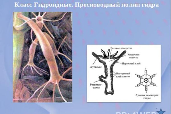 Маркетплейс кракен kraken