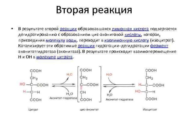 Ссылка на кракен оригинал