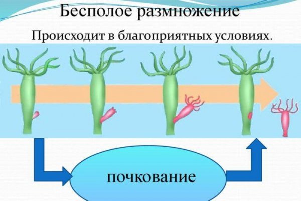 Kraken зайти на сайт