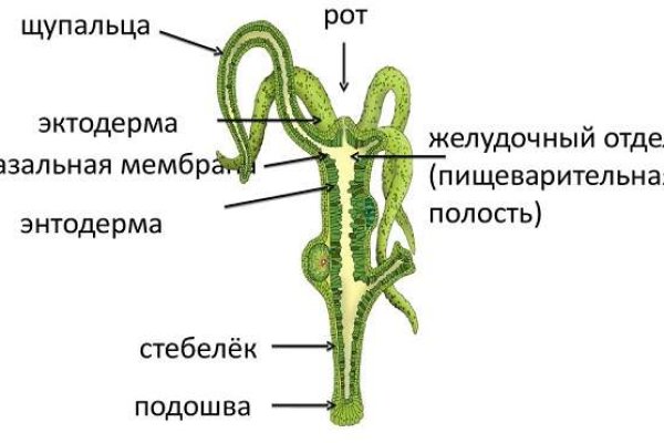 Что продает кракен