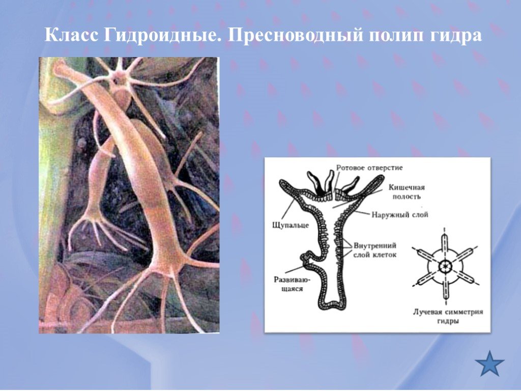 Кракен маркет kr2web in